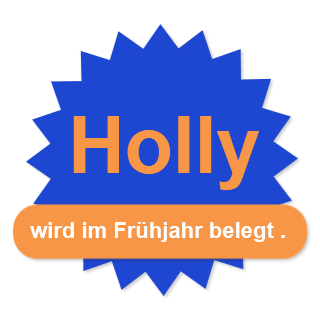 Holly