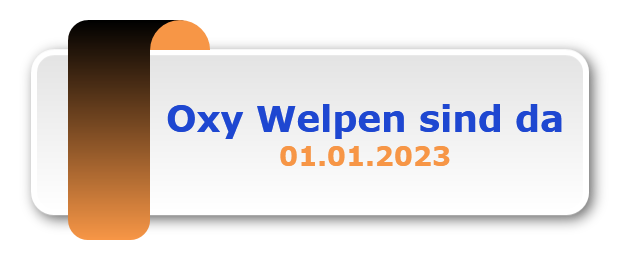 Oxy Welpen sind da