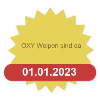OXY Welpen sind da